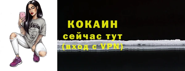 mdpv Кодинск