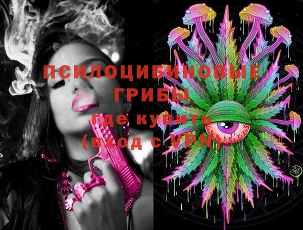 первитин Козельск